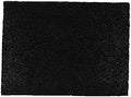 Replacement Part For Hoover Filter Media-Activated Carbon Fits CH34006 by TOP+VACUUM+PARTS