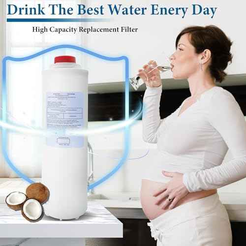 2 Pack Replacement for 51300C Filter, Compatible with EzH2O Bottle Station, Replace EWF3000, ERF750, 51299C, 55898C. (No Chip 2-Pack）