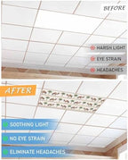 3 Pack Fluorescent Light Cover for Ceiling Lights, Tropical Plants Magnetic Classroom Light Filters 4x2 Feet, Camel Animals Summer Palm Trees Stripes Decorative Ceiling Shade Panel for Office - Field & Pure