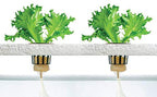 4 Stage - Hydroponics Reverse Osmosis Water Filtration System | 100 GPD | Water - Image 5