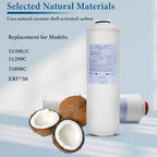 2 Pack Replacement for 51300C Filter, Compatible with EzH2O Bottle Station, Replace EWF3000, ERF750, 51299C, 55898C. (No Chip 2-Pack）