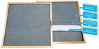 CARTER | Gold | MERV 8 | HVAC & Furnace Filter | Washable