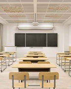 4 Pack Fluorescent Light Cover for Ceiling Lights, Desert Camels Magnetic Classroom Light Filters 4x2 Feet, Tropical Palm Trees Sand Cords Brown Decorative Ceiling Shade Panel for Office