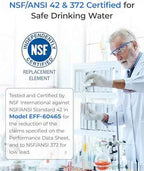 Waterdrop LT1000PC Refrigerator Water Filter and Air Filter, 2 Combo