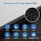 2 Pack Vital 100S Replacement Filter for LEVOIT Vital 100S-P Air Purifier