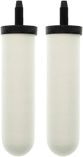 Doulton W9121214/British Berkefeld W9121215 0.5 Micron ATC Super Sterasyl by DoultonWaterFilters
