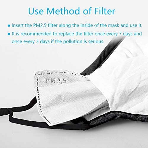 100 PCS PM2.5 Activated Carbon Face Mask Filter for Adults