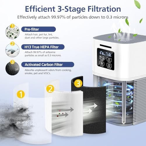 2 Pack A1 Filter Compatible with VEWIOR Air Purifier HQSC-50, HQKJ-80, A1 - Field & Pure