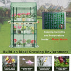 Purlyu Mini Greenhouse for Indoor Outdoor, Small Plastic Plant Green