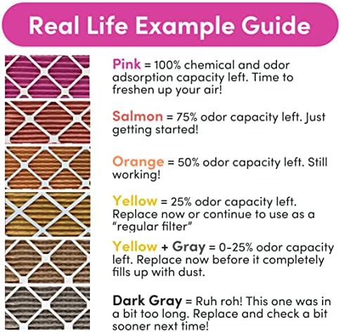 12x20x1 Air Filter by Colorfil | Color Changing Filters for Cat and