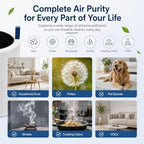 4 Pack Mini Max Replacement Filter for Blueair Blue Pure Mini Max Air Purifiers, HEPA & Activated Carbon Blue Pure FMINI Filter Compatible with Blue Pure Mini Max - Field & Pure