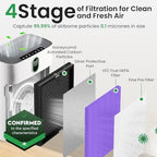 2 Pack Purple HY4866 Air Purifier Replacement Filters – Compatible
