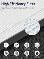 3500 Replacement Filter Compatible with Air Doctor 3000, 3500 & 3500i
