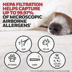 Honeywell Genuine HEPA Air Purifier Filter G, Airborne Allergen Air Filter - Image 5