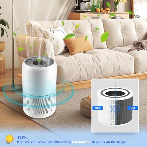 Core 300 Replacement Filter for LEVOIT Core 300/Core 300S/Core300-P Air Purifier, 3-in-1 Filter with H13 True HEPA and Activated Carbon Filter, Part No. Core 300-RF (2 Pack White) - Field & Pure