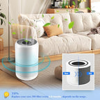 Core 300 Replacement Filter for LEVOIT Core 300/Core 300S/Core300-P Air Purifier, 3-in-1 Filter with H13 True HEPA and Activated Carbon Filter, Part No. Core 300-RF (2 Pack White) - Field & Pure
