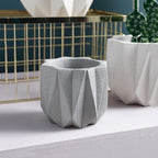 Outdoor Succulent Plantpot Cactus Plant Container Cement Flowerpot Container - Image 2