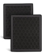 2Pcs Activated Carbon H2D H2S Air Filter Fit by Unknown