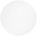 Whatman 10411213 White PTFE Membrane Filter Circle, 50mm Diameter, 1.0 Micron by Whatman