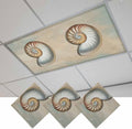 Fluorescent Light Covers for Ceiling Lights Shell Conch Magnetic Light Filters by Home+L6