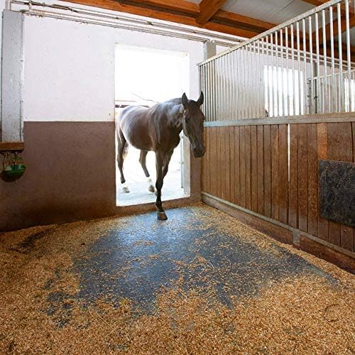 American Floor Tiles - Image 7