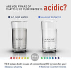 Frizzlife TD-9 Alkaline Remineralization Under Sink Inline Water Filter - Image 4