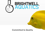 Brightwell Aquatics - Image 7