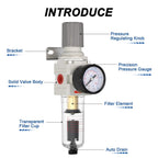 1/4" NPT Air Compressor Filter & Pressure Regulator Combo AW2000-02D