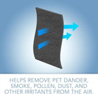 FLT4825 HEPA Filter B Replacement Compatible - Image 3