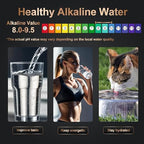 Under Sink Alkaline Water Filter - Image 2