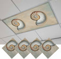 Fluorescent Light Covers for Ceiling Lights Shell Conch Magnetic Light Filters by Home+L6