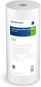 Pentair Pentek DGD-5005 Big Blue Water Filter, 10-Inch Whole House Sediment by PENTAIRPENTEK