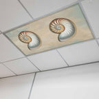 Fluorescent Light Covers for Ceiling Lights Shell Conch Magnetic Light Filters by Home+L6