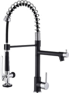 Fapully Kitchen Sink Faucet, Pull Down Kitchen Faucet, Single Handle Single by Fapully