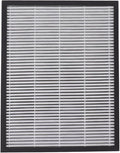Air Purifier Filter Replacement by Mtlavishness