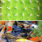 100 Packs Filter Brushes Aquarium Brushes Set - Image 5