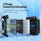 Coway AP-1512HH Mighty Air Purifier - Image 5