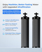 Waterdrop Black Water Filter, Replacement - Image 2