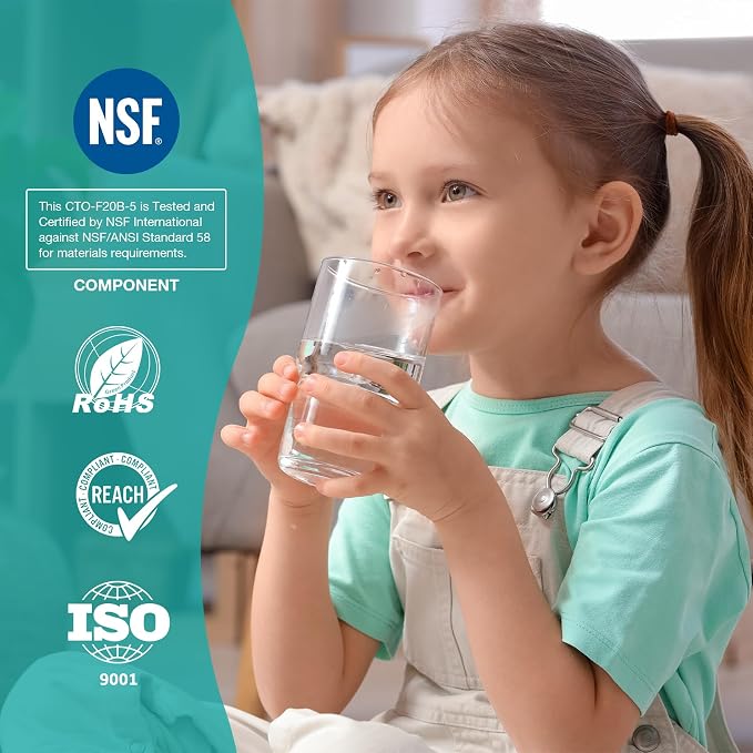 SimPure Whole House Water Filter Cartridges 5 Micron 20" x 4.5" CTO Activated - Image 2