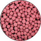 Watts Premier pH Balancing Ceramic Post-Filter - Image 3