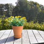 5pcs Red Terracotta Succulent Flower Pots - Image 5