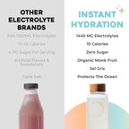 Instant Hydration Electrolytes Powder Packets - Image 7
