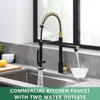 Fapully Black&Gold Kitchen Faucet - Image 3