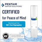 Pentair Pentek DGD-2501-20 Big Blue Water Filter, 20-Inch Whole House Sediment - Image 3