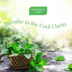 Vitamin C Shower Filter Replacement Cartridge + Shower Steamers Aromatherapy - Image 6