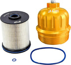 iFJF TP1015 Fuel Filter and 134001 Housing Cap Replacement by iFJF