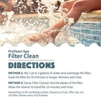 SplashWiz Proteam Spa Filter Clean - Image 4