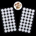 Zonon 64 Pieces Synthetic Filter Paper Stickers 20 mm 0.3 ?m Synthetic Filter by Zonon