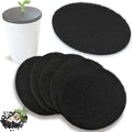 NewKe 6 Pack Natural Charcoal Filter Refills by NEWKE