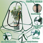 Plant Mini Greenhouse Pop Up Transparent Greenhouse Freeze Protection PVC Plant - Image 2